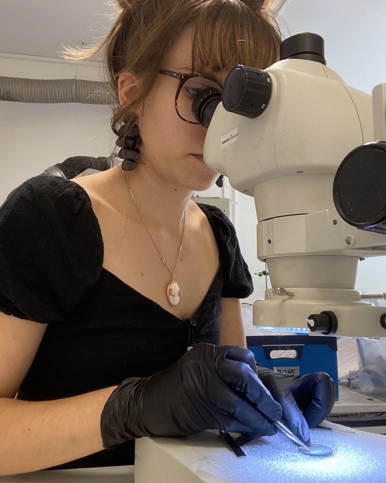 Examen d'un objet à la loupe binoculaire en laboratoire